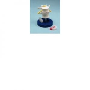 Lumbar VertebraeC50008