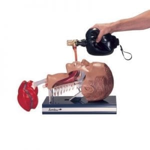 Ambu Intubation trainerC70110