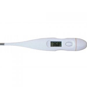DGX 210 ELECTRONIC THERMOMETERDG10210 E