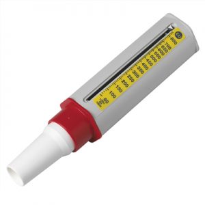 Peak flow meter