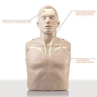 IM13 - BRAYDEN CPR Manikin - Advanced Model - Single