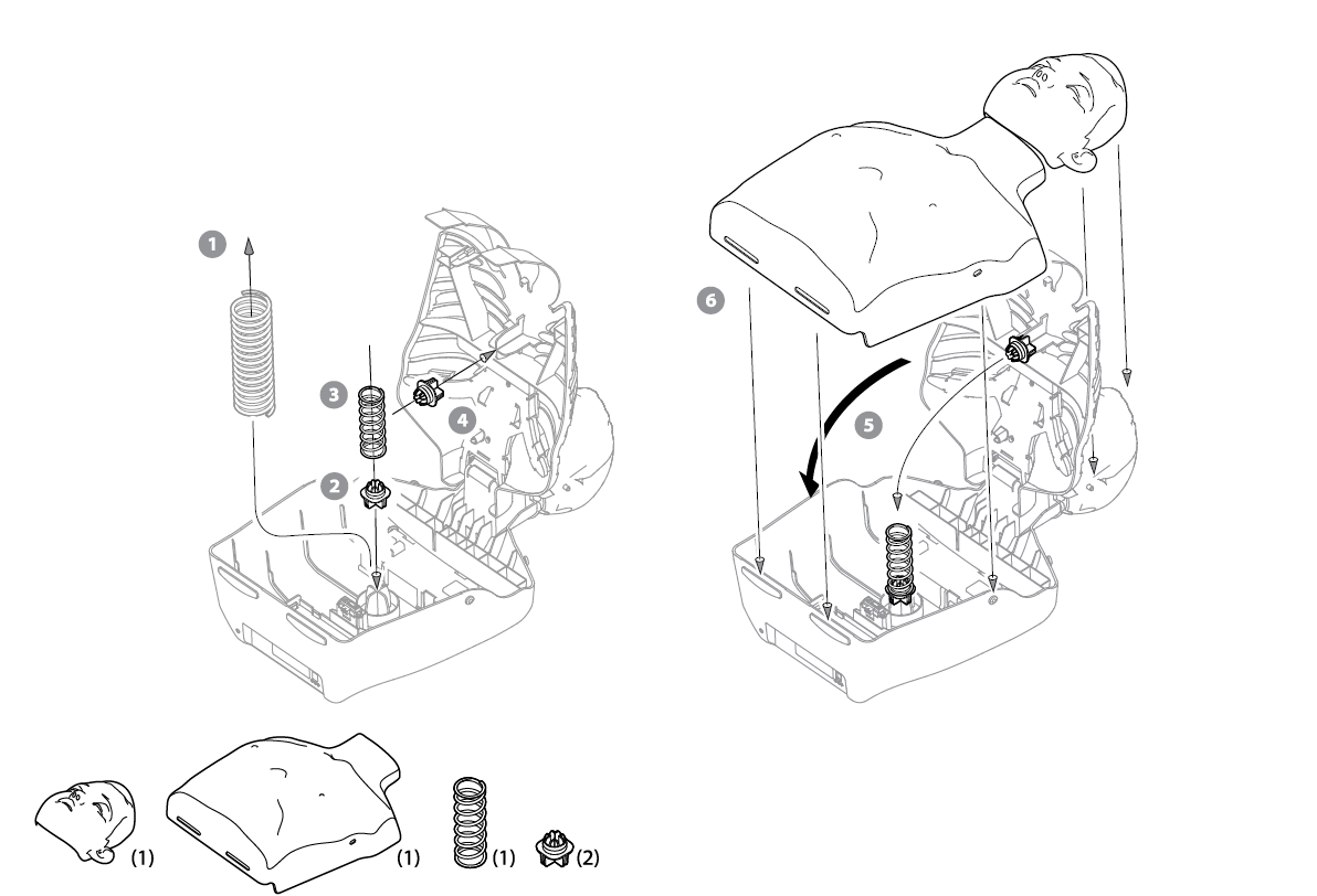 Steps to convert the Brayden Adult CPR Manikin to the Junior Version