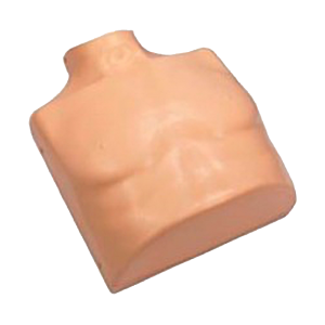 Practi-Torso Cpr Training