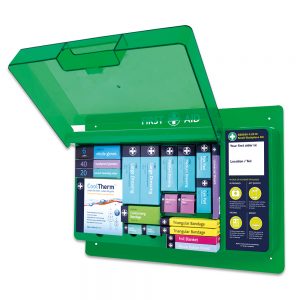 Small Workplace Kit in Deluxe First Aid Wall Station